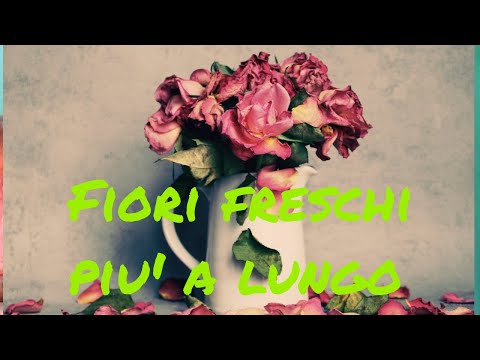 Video: Come Prolungare La Vita Dei Bouquet In Vaso