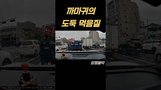 (암행블박) 까마귀의 도둑 먹음질(?) 블박 영상 #블랙박스영상 #블랙박스영상모음 #블랙박스 #블랙박스레전드 #블랙박스제보