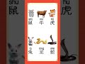Chinese Zodiac 十二生肖 #汉语学习 #learnchinese #mandarin #studymandarin #中文 #十二生肖