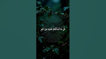 قال فالحق والحق أقول سورة ص الشيخ ياسر الدوسري
