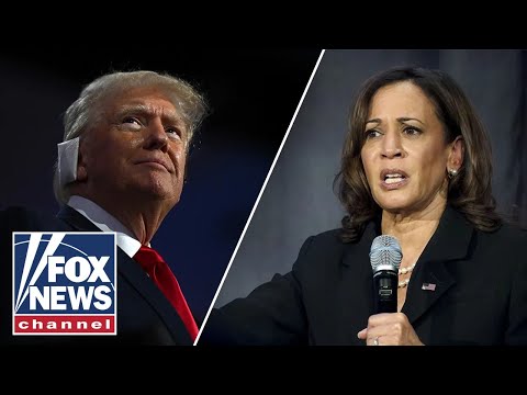 McEnany: This race is closer, there's no doubt about it