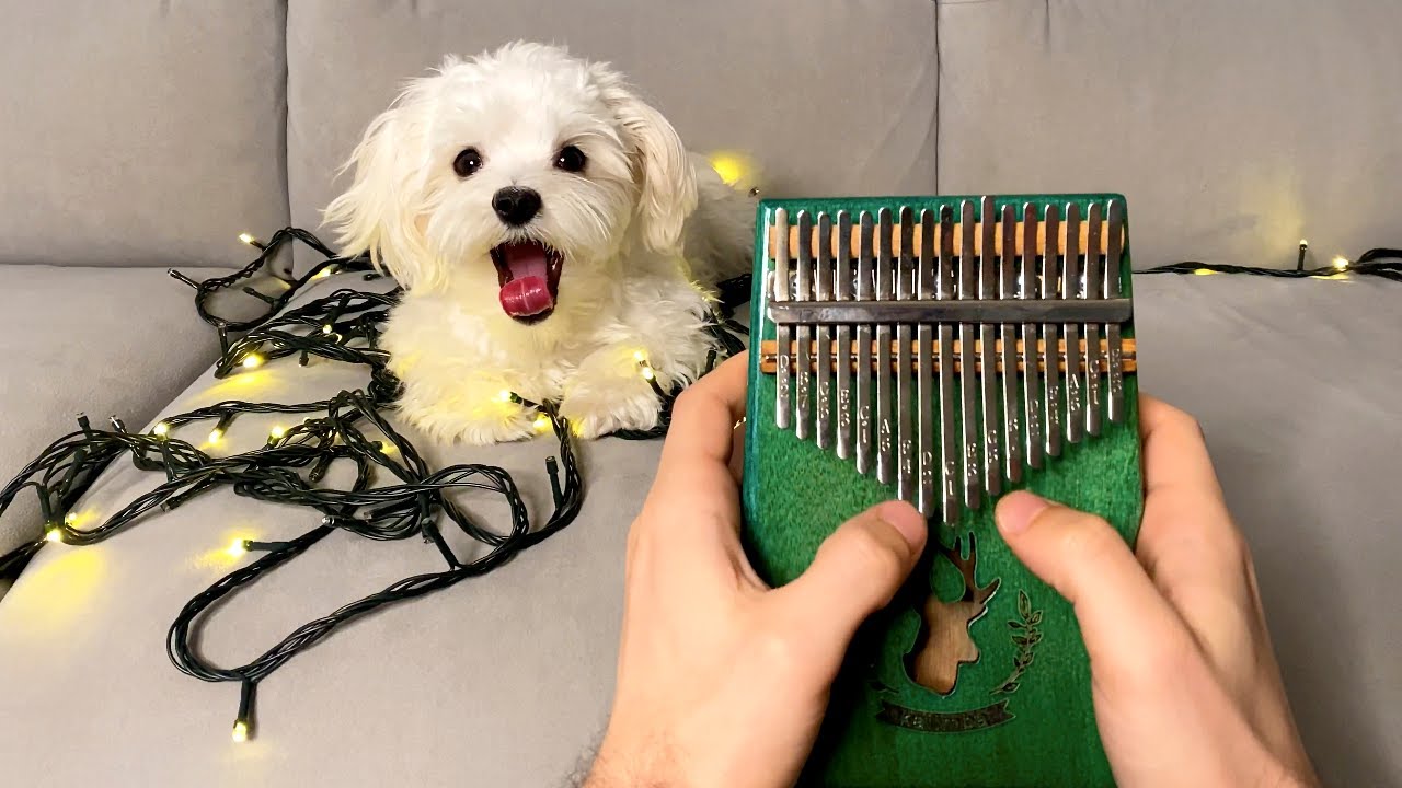 Can't Help Falling in Love on a Kalimba - YouTube