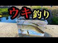 【川釣り】手軽にその辺の川でウキ釣りしたら 夢中になりすぎた！！