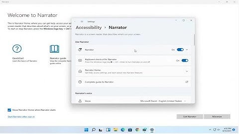 How To Disable Annoying Text To Speech Voice On Windows 11 [Tutorial]