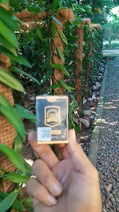 PUPUK VIRAL ECO FARMING#ecofarming #shorts