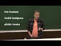 Petr koubsk uml inteligence pslib i hrozba mffpmf 1812024