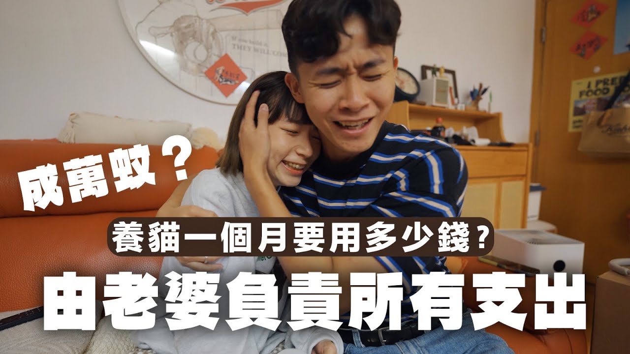 【勸退⚠️】究竟養貓一個月要用幾多錢🫣⁉️隨時每月花費一萬蚊不是難事😵😵… 養貓前要三思🥲