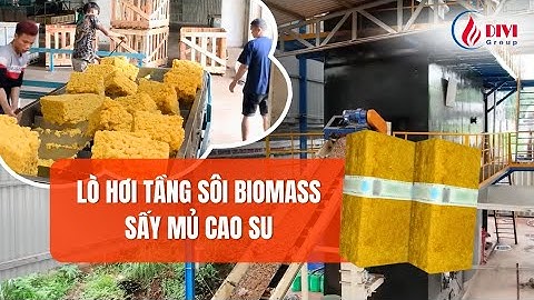 [DIVI] Lò hơi tầng sôi biomass sấy mủ cao su