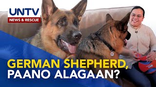 Mga wastong paraan ng pagaalaga ng German Shepherd | Pet Talk