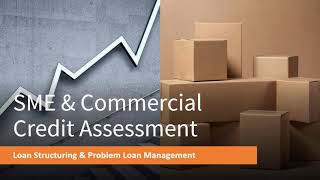Loans Structuring & PLM: SME & Commercial Credit Assessment