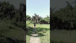after effects,how to use capcut,flying effect video,bird flying effect video editing #videoeffects