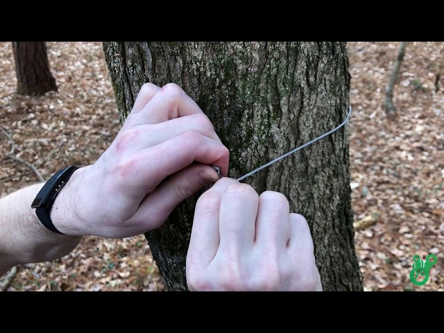 How to Use the Titanium Micro Hook 