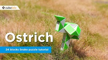 24 Blocks Snake Puzzle Tutorial I Ostrich I Cubelelo
