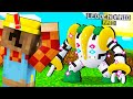 HO SFIDATO IL PRIMO MEGA POKEMON NELLA PIXELMON SU MINECRAFT ITA!!