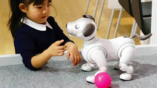 Top 5 Best Robot Dogs on Amazon!