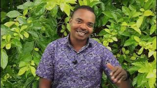 Faida 10 Za Kushiriki  Tendo La Ndoa Mara Kwa Mara