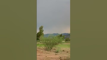 ⚡️⚡️⚡️Epic Lightning Prediction ⚡️⚡️⚡️