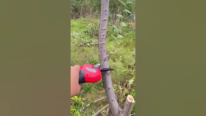 Amazing Electric Pruning Shears #shorts