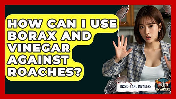 How Can I Use Borax And Vinegar Against Roaches? - Insects and Invaders