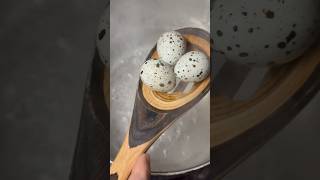 Quail Egg Boil Each Spoonful Equals 3 Days Of Laying From Each Hen