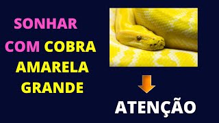 Dreaming of a big yellow snake - Understand your dream! Dreaming of a big yellow snake - Understand your dream!