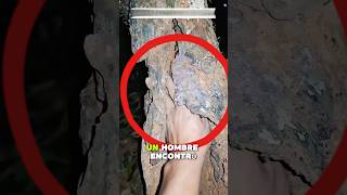 The Man Found A Strange Creature In The Tree Trunk.