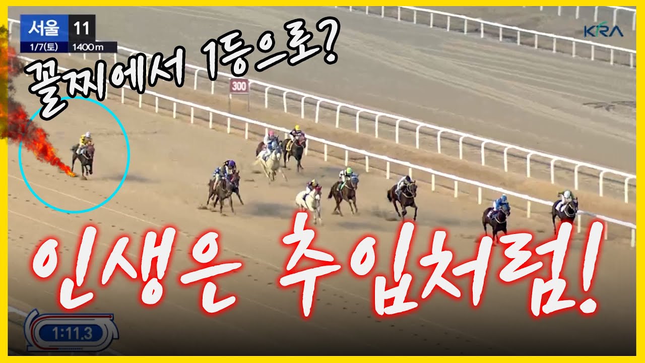 인생과 경마는 추입이다!! 2023 추입마 경주 BEST!