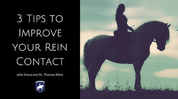 3 Tips to improve your rein contact