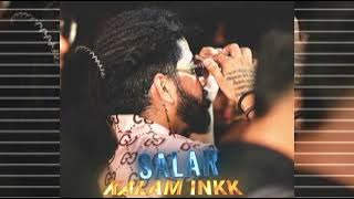 salar /kalam ink / tere mere bich fasle ni aayenge