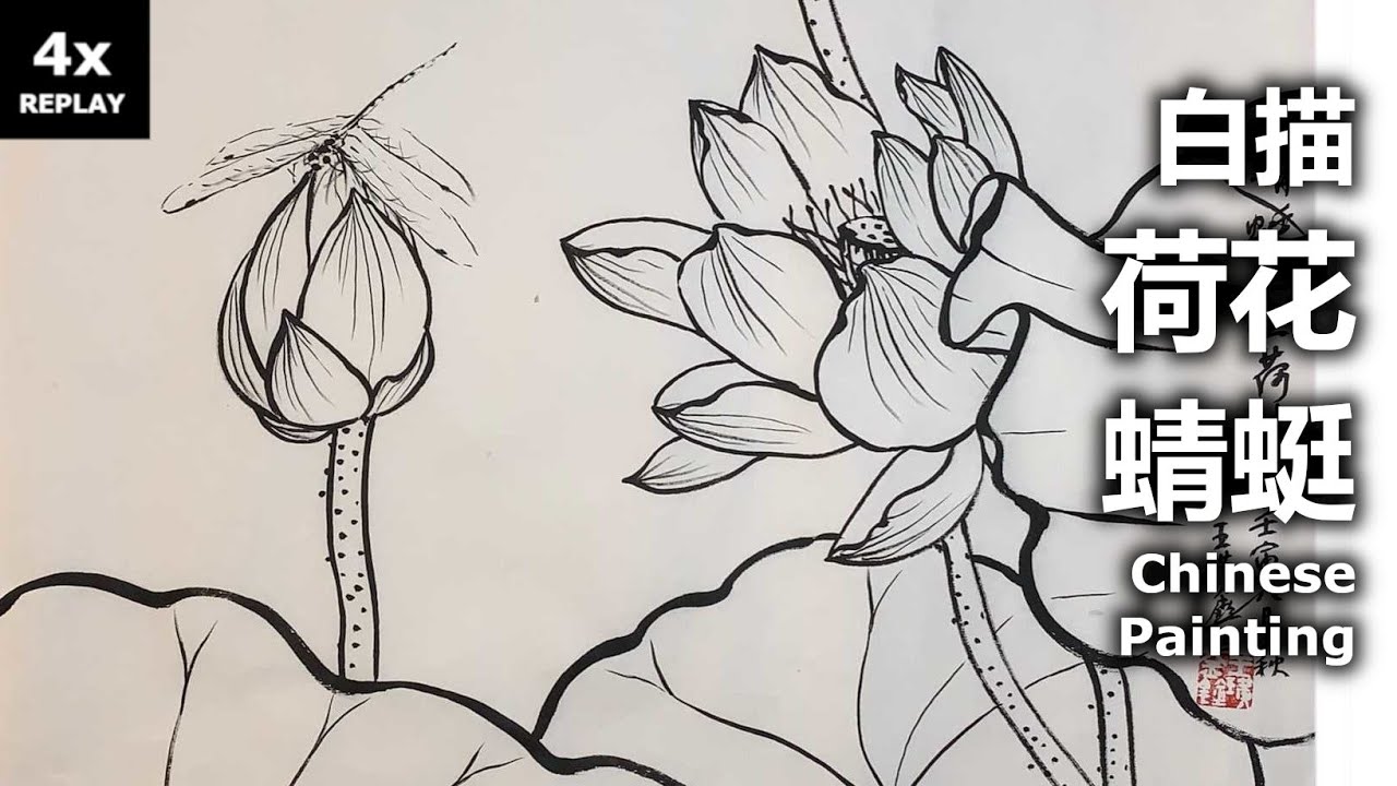 荷花之五：白描- 蜻蜓玉立荷叶秋Chinese Painting 4x Replay: Lotus