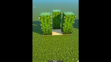 Minecraft Logics 🤔