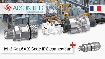 M12 Cat.6A X-Code IDC connecteur circulaire
