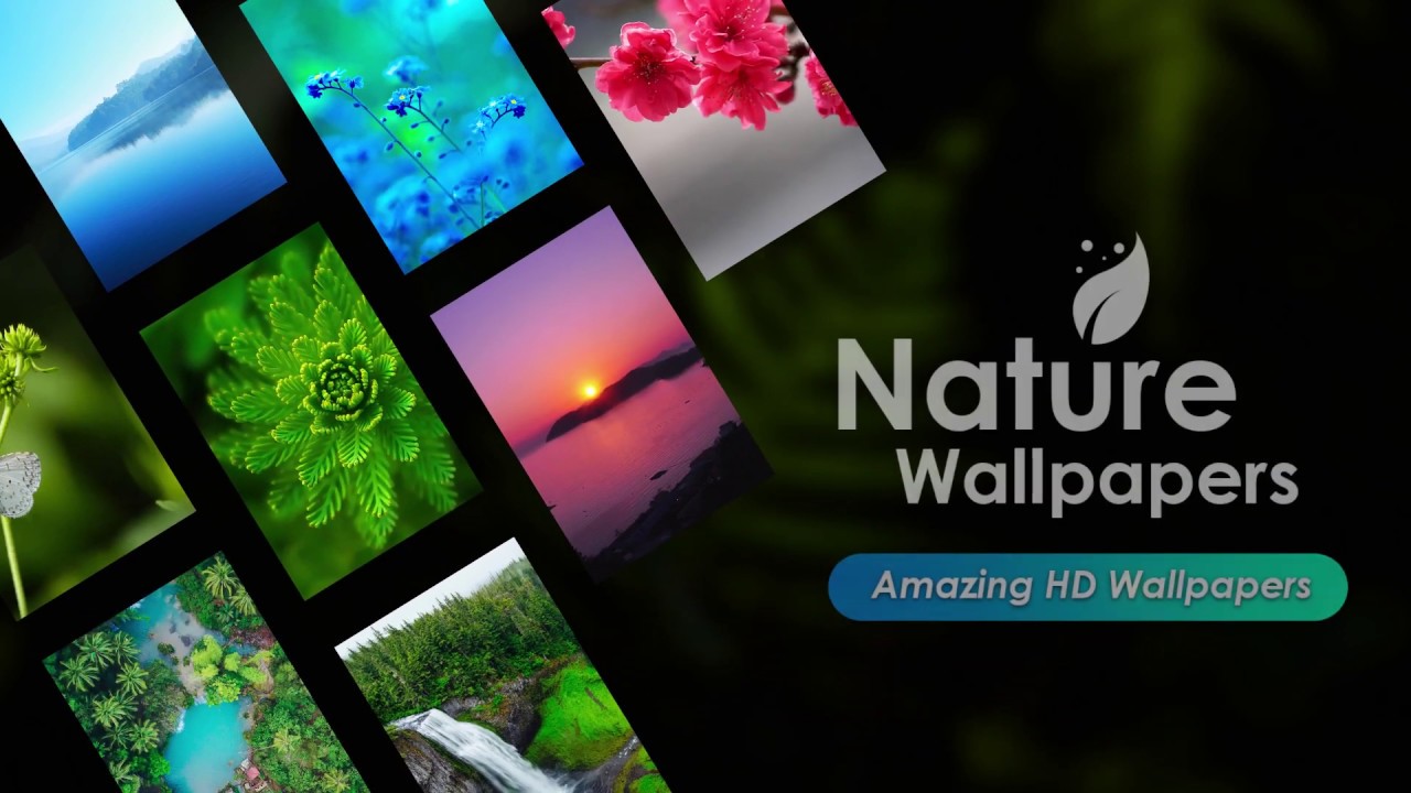 Nature Wallpapers