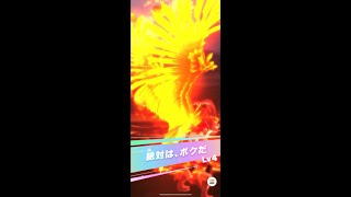 ユメヲカケル！有馬記念を駆け抜ける。[ウマ娘]