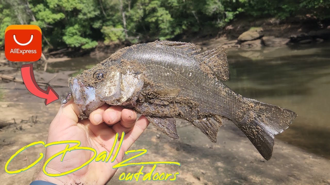 Wild Creek Bass || Sydney – Wildlife Bushwalk Fishing