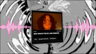 jane_remover_heatwave.zip 𝙉𝙏𝙎 21⁄06⁄2024