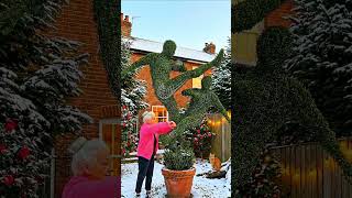Granny Grew a Football Duel Topiary in Snowy English Cottage Garden ⚽❄️