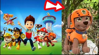 Encontramos a uno de los paw patrol by Familia Terán 6,514 views 2 weeks ago 1 minute, 47 seconds