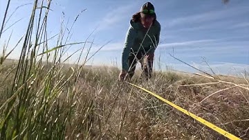University of Idaho students train to monitor rangeland health across the state