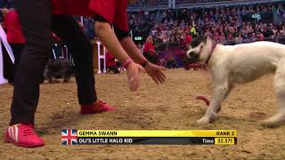 The Kennel Club ABC Dog Jumping Grand Prix at Olympia 2017