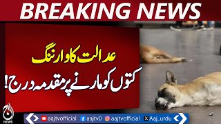 Court issues warning: Case registered over killing of dogs - Aaj News Pakistan