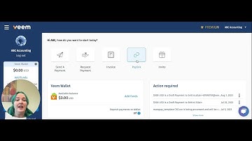 How to access the Veem Paylink
