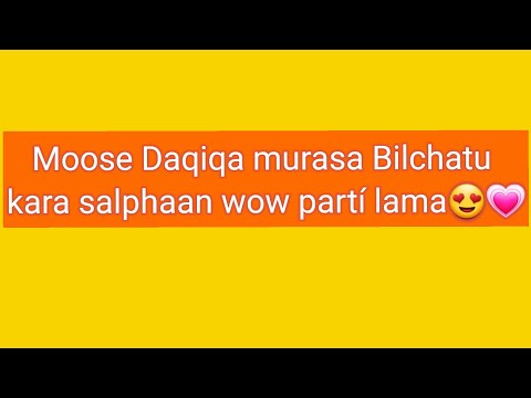 Moose Daqiqa Murasa Bilchatu Kara Salphaan Wow Partí Lama 