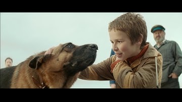 映画『ハチとパルマの物語』30秒特報予告動画