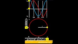 How to Compare Circular Motion with Simple harmonic motion(Animated)