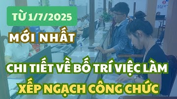 Chi tiết về bố trí vị trí việc làm, xếp ngạch công chức mới nhất