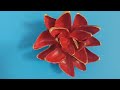 Stunning DIY Seashell Flower Decor You Can Hang or Display on Your Table!