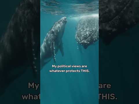 My Political Views Are Whatever Protects THIS.