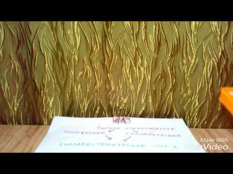 Системы стихосложения. Двусложные размеры стиха. Урок 2.