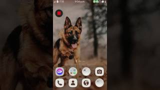 how you can use android app in samsung z2 screenshot 5